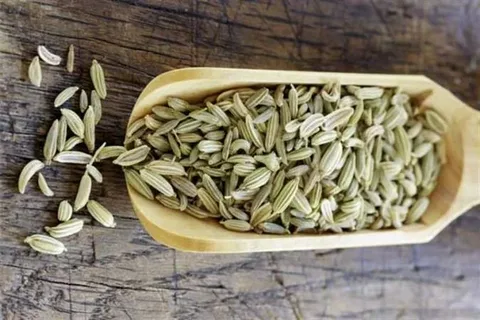 زیره سبز ارگانیک با تازگی کوهستانی و رایحه مطبوع